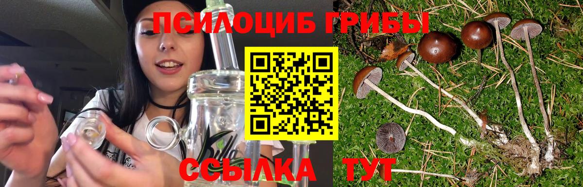 Галлюциногенные грибы прущие грибы  Псилоцибиновые грибы мицелий  Альметьевск  Вход с VPN 