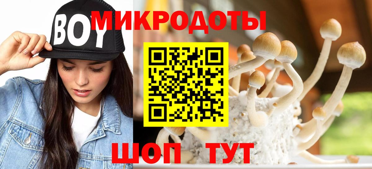 Галлюциногенные грибы Psilocybine cubensis Альметьевск